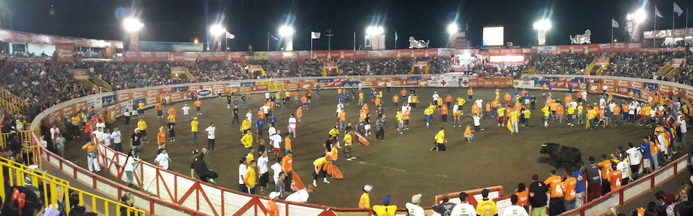 Costa Rican Bull Fight