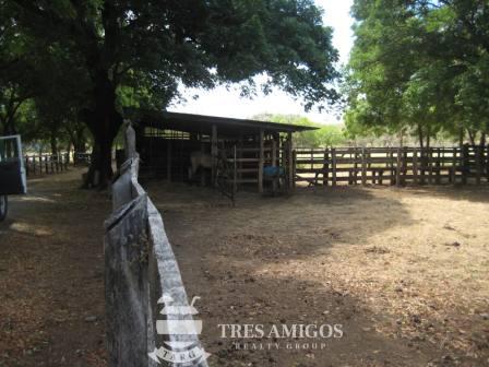 Corrals and Stable 