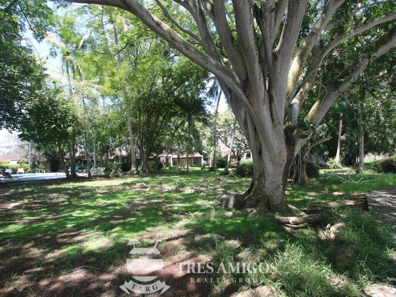 beachfront farm with mature trees