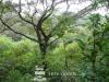 land property with rainforest in Costa Rica